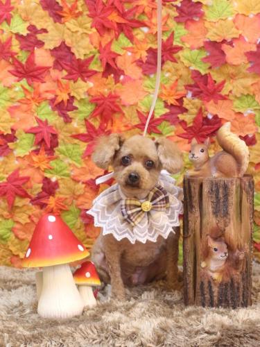 20241117マリンくん